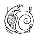 手绘蜗牛图案设计