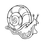 手绘卡通蜗牛简笔画