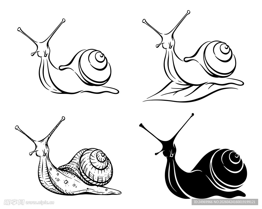 四幅蜗牛黑白插画