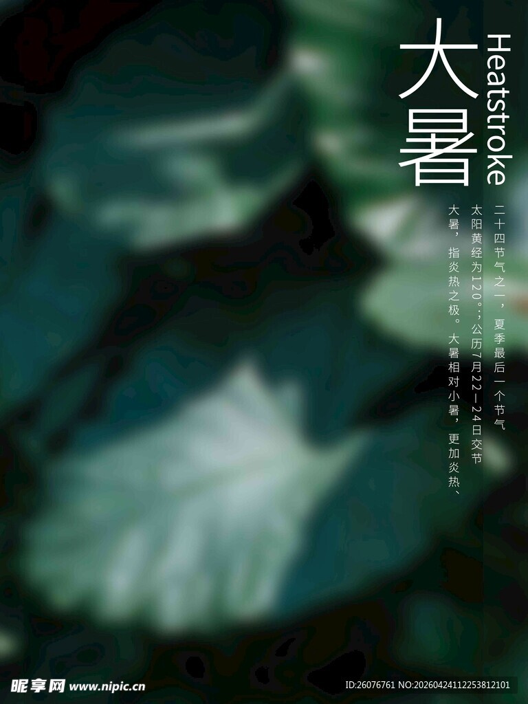 大暑海报