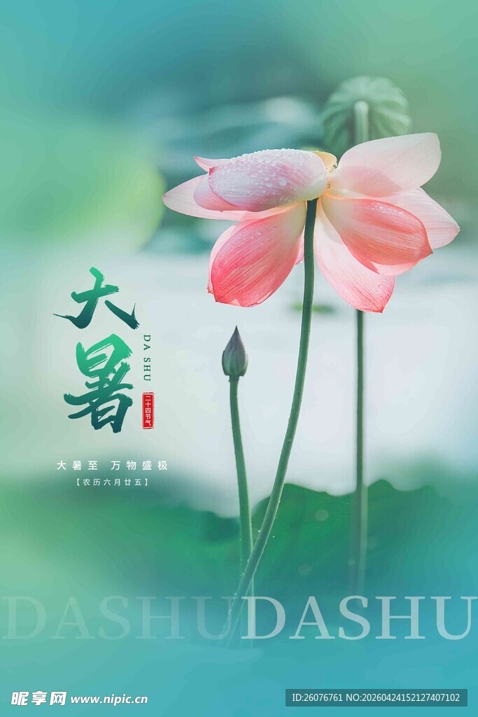 大暑海报 