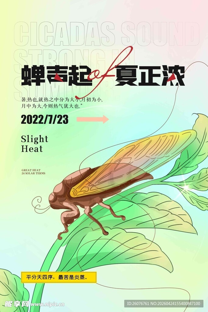 大暑海报 