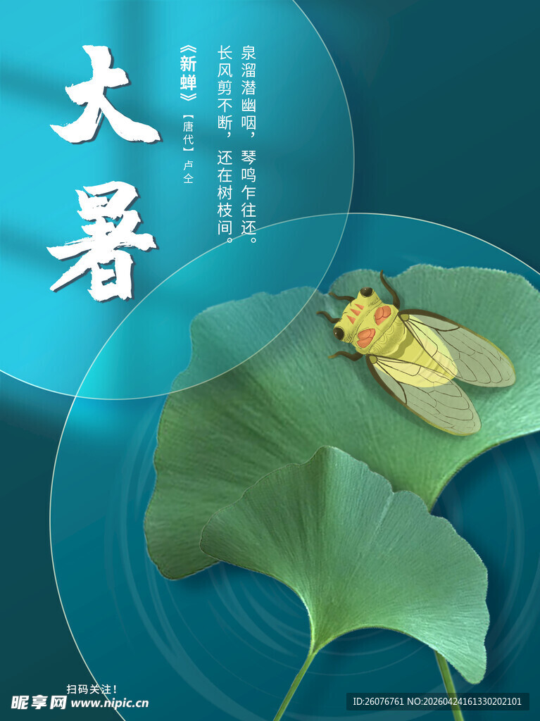 大暑海报 