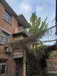 红砖房外的绿植藤蔓景象