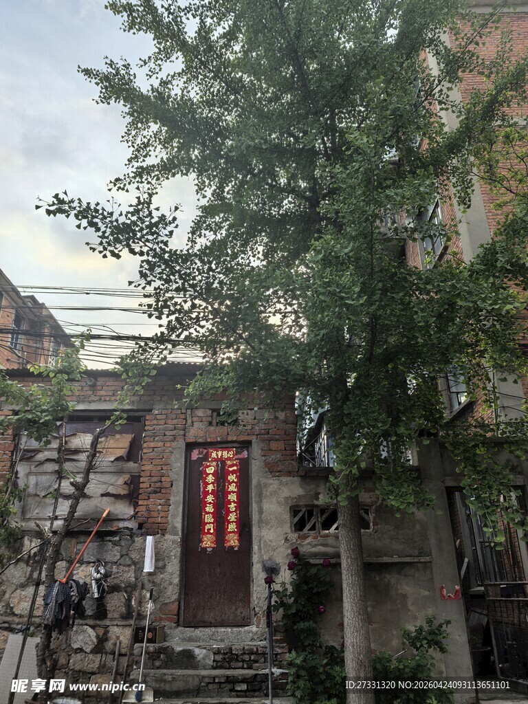 古朴小院门前繁茂绿树