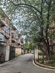 宁静小巷中的居民楼风景