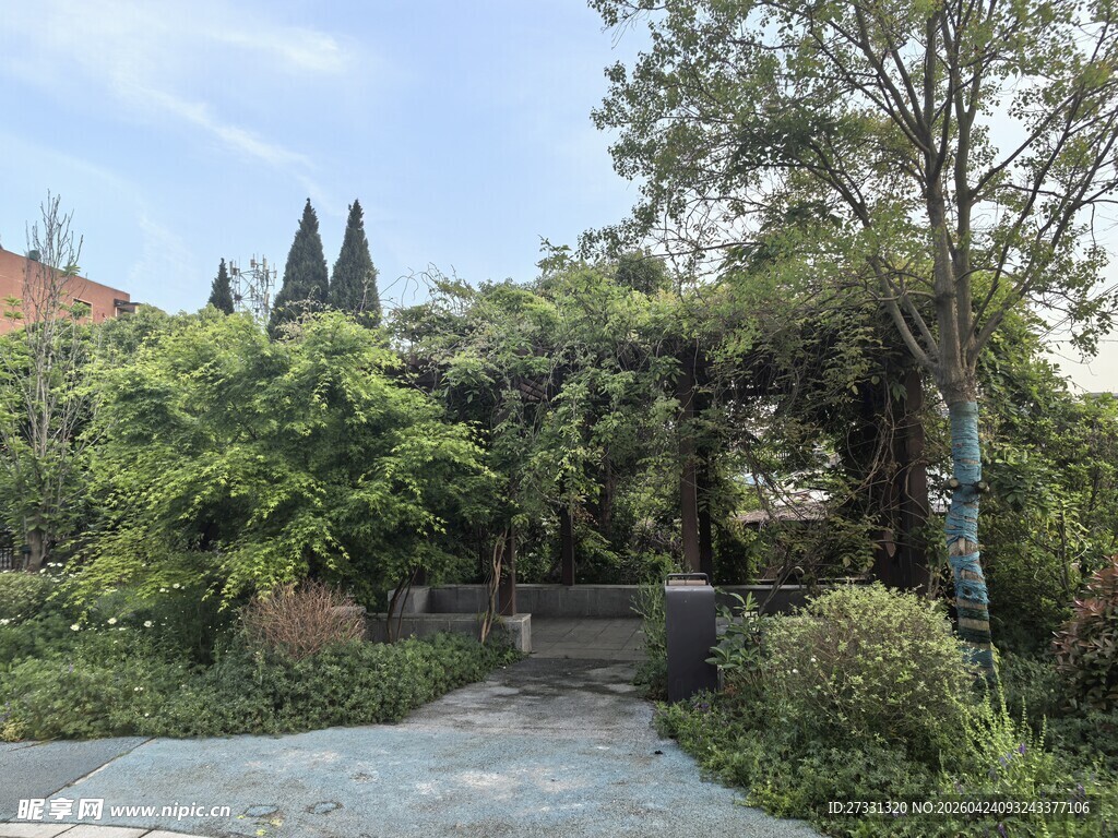 静谧庭院绿植景观