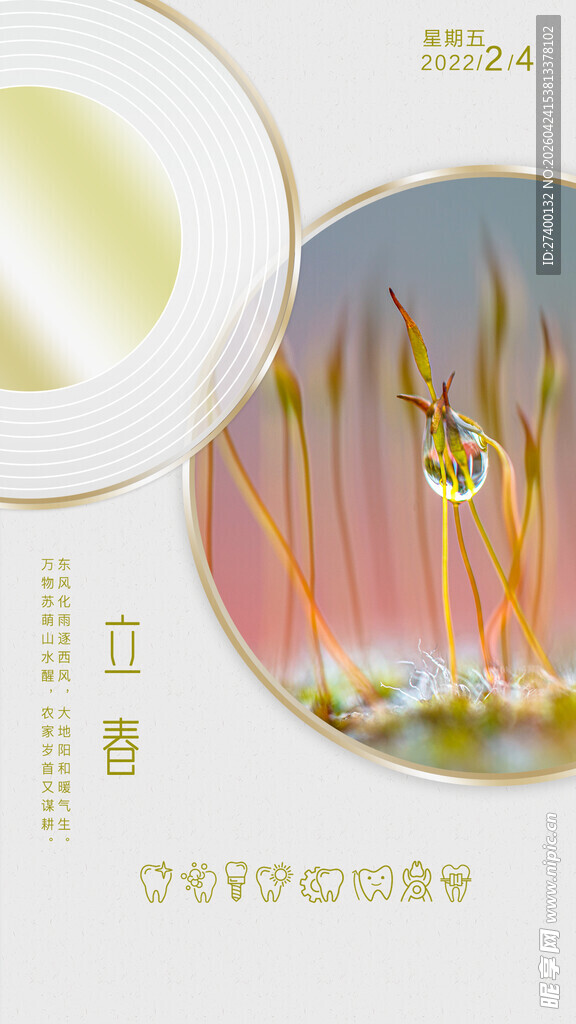 自然之美露珠与多彩植物立春