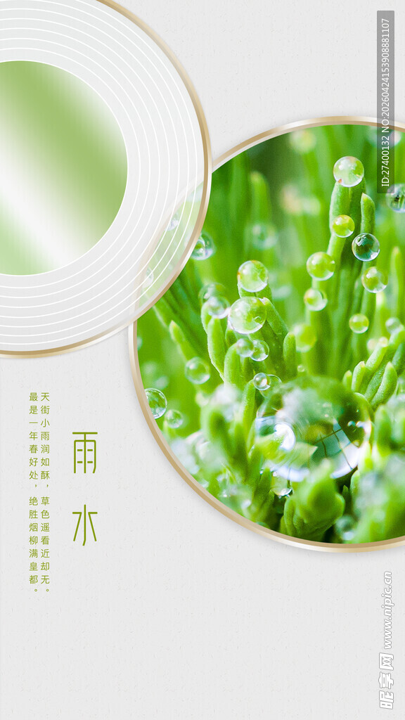 清新绿意圆润水珠润植物雨水