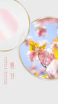 春日花卉圆形装饰图春分