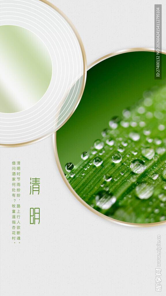 清新露珠绿植特写清明