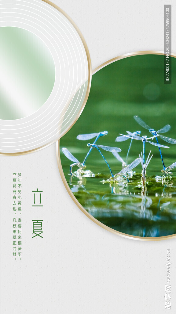 清新绿植自然风景画面立夏