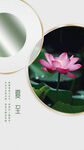 中式荷花装饰图案设计夏至
