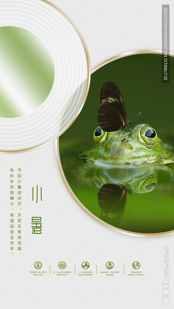 荷叶上的翠绿青蛙小暑