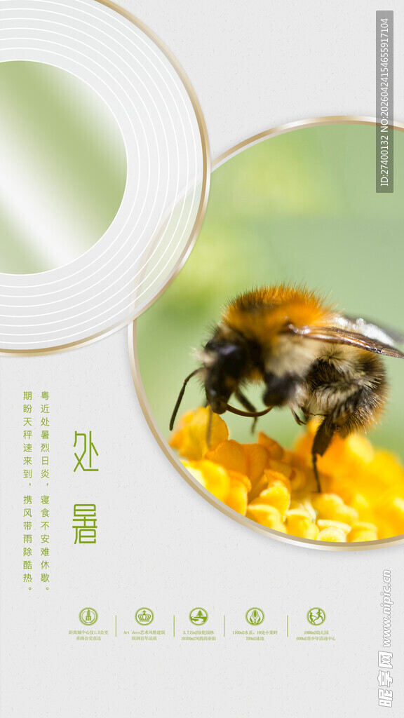 蜜蜂采蜜于黄色花朵间处暑