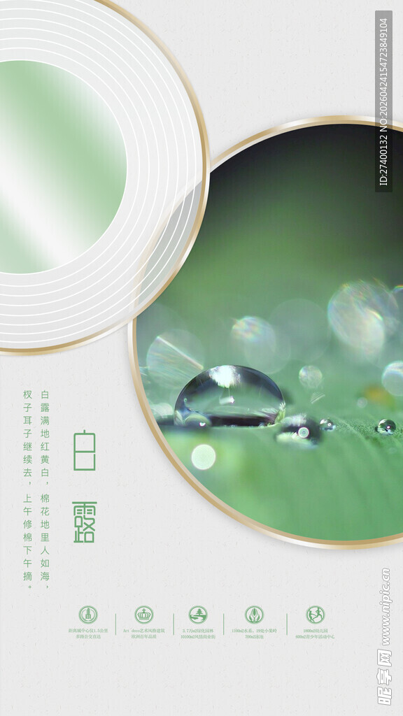 清新自然风绿色风景画面白露