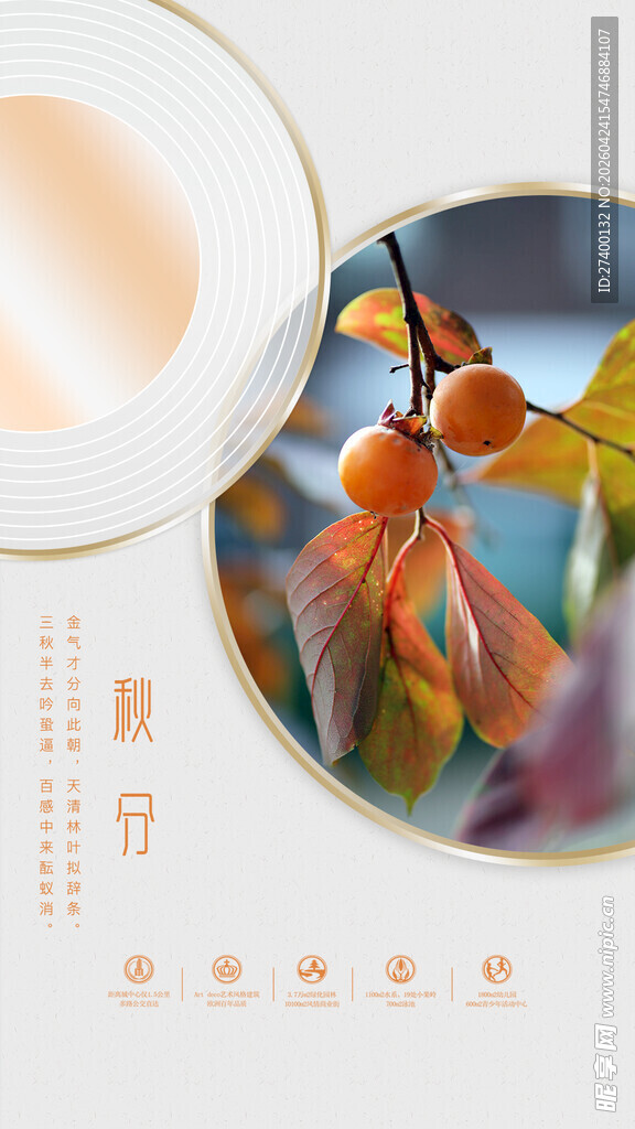 秋日果实与落叶之美景秋分
