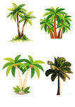 多样棕榈树插画素材