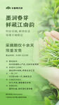 春茶采摘活动海报