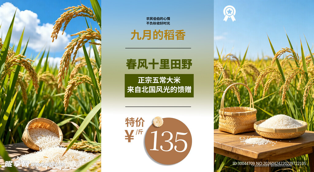 农产品大米详情页
