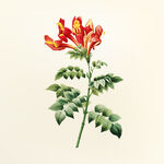 手绘鲜艳花朵与绿叶