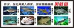 水产养殖