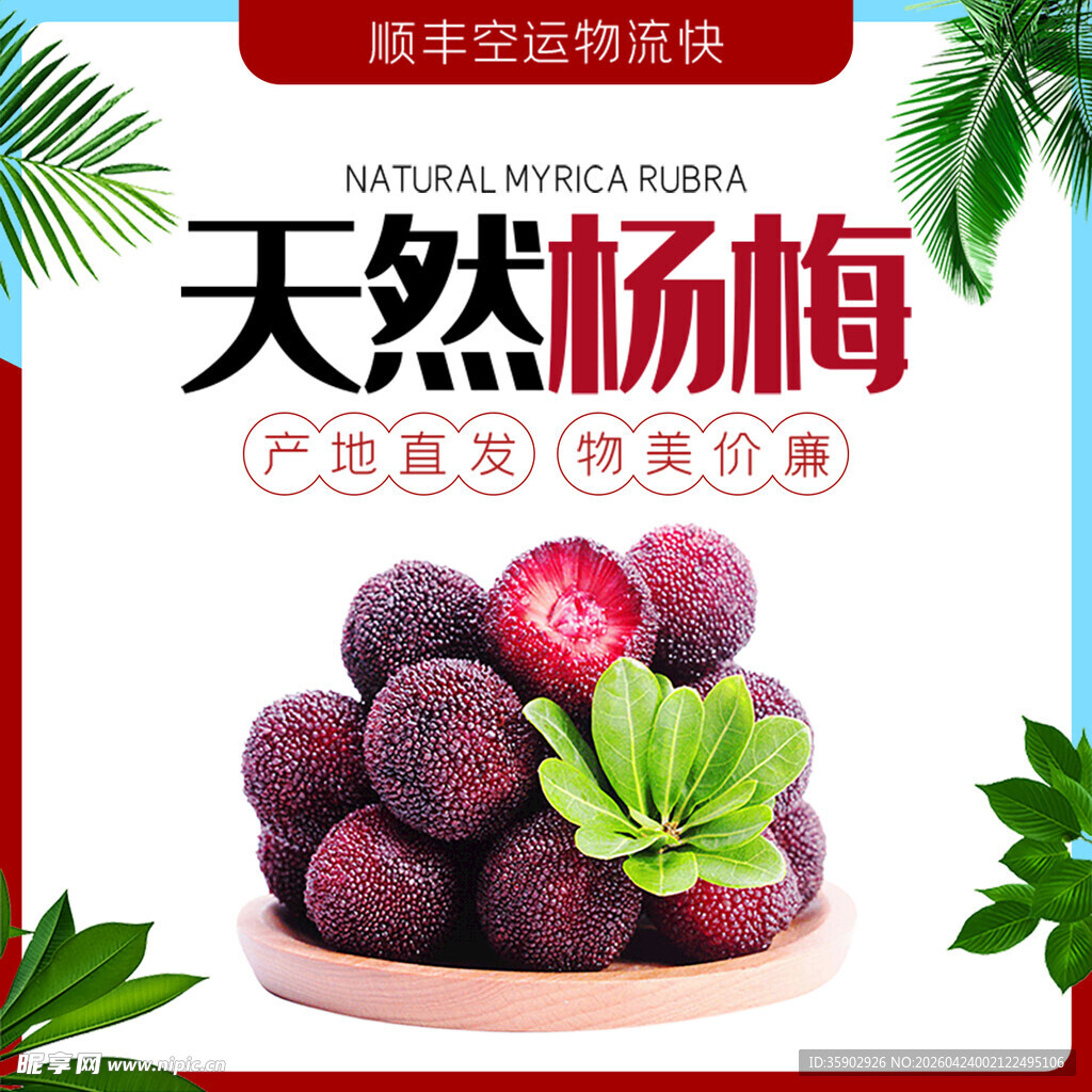 天然新鲜杨梅美味诱人