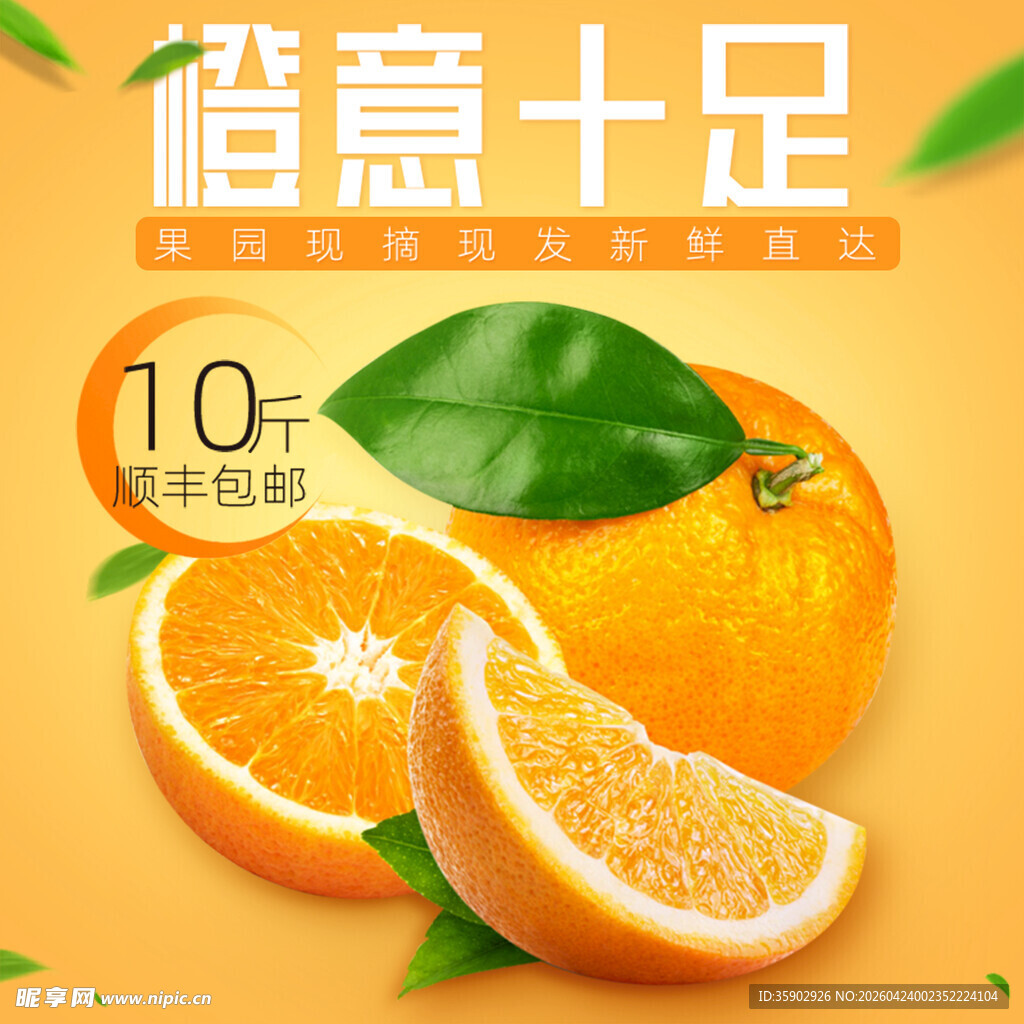 橙意十足的新鲜橙子
