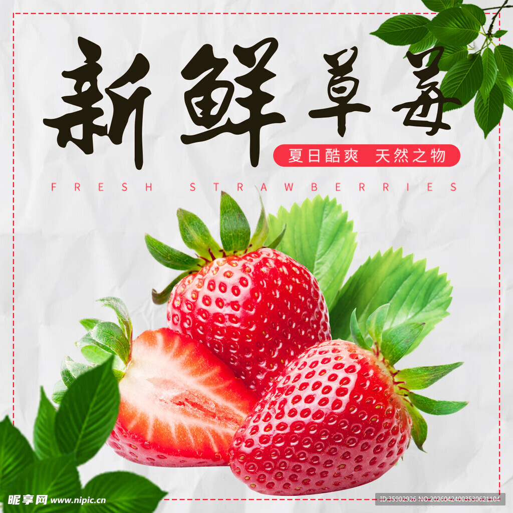 新鲜可口草莓果香四溢