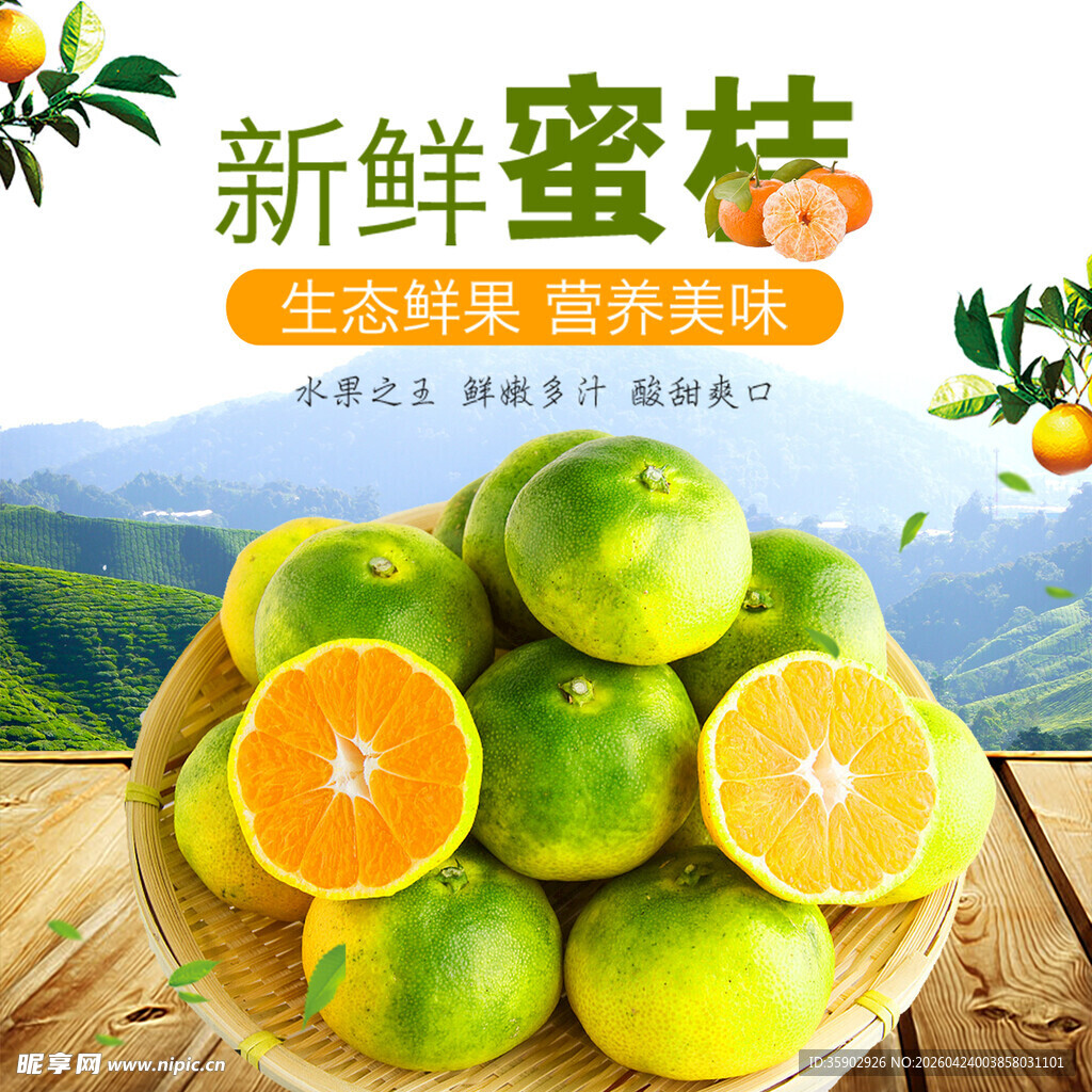 新鲜蜜桔自然好滋味