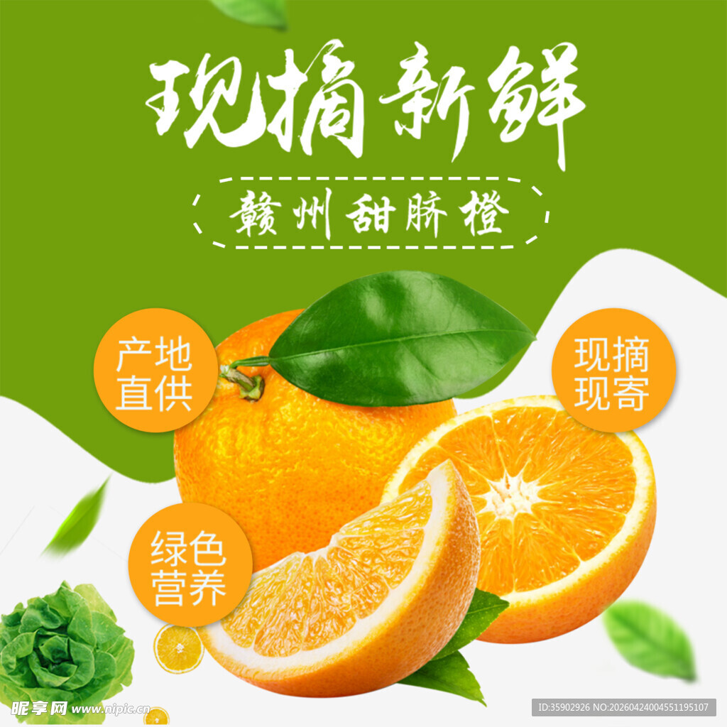 徐州甜脐橙现摘超新鲜
