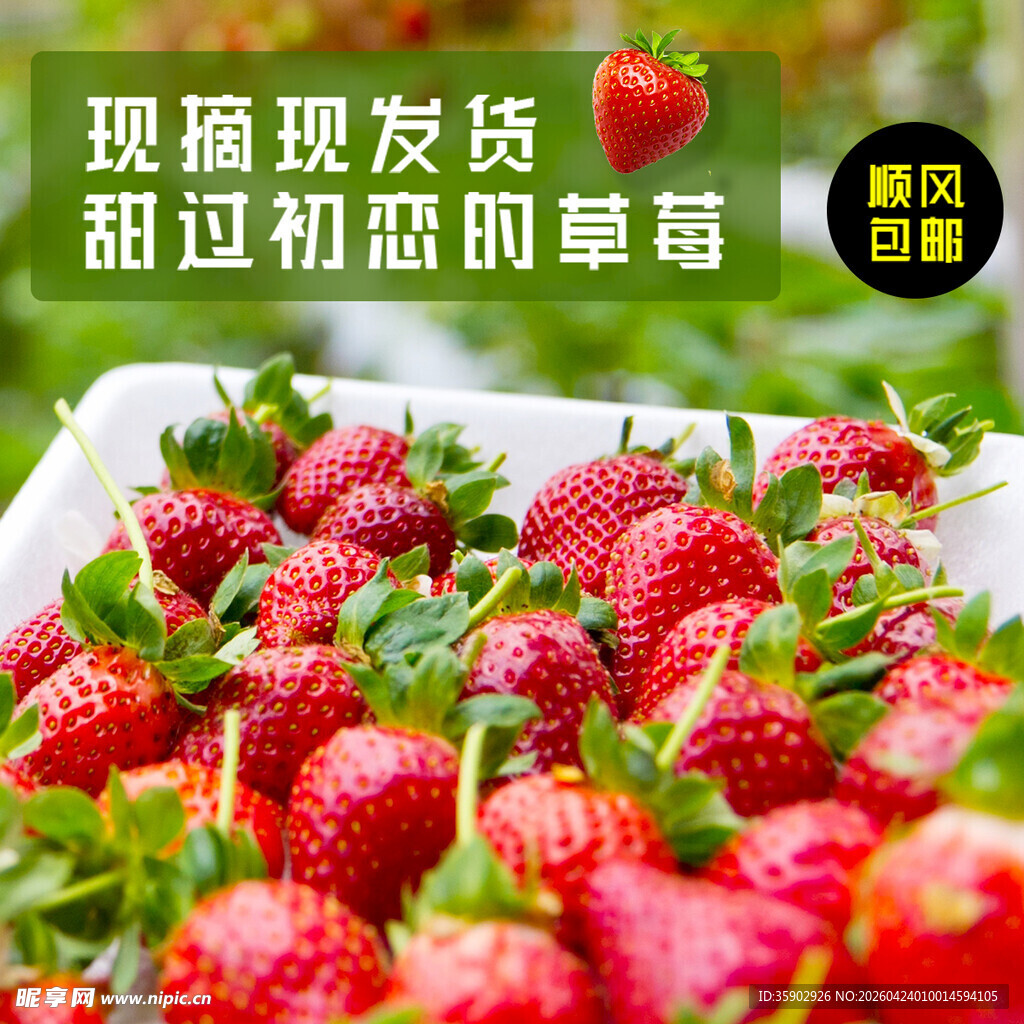 新鲜甜过初恋的草莓