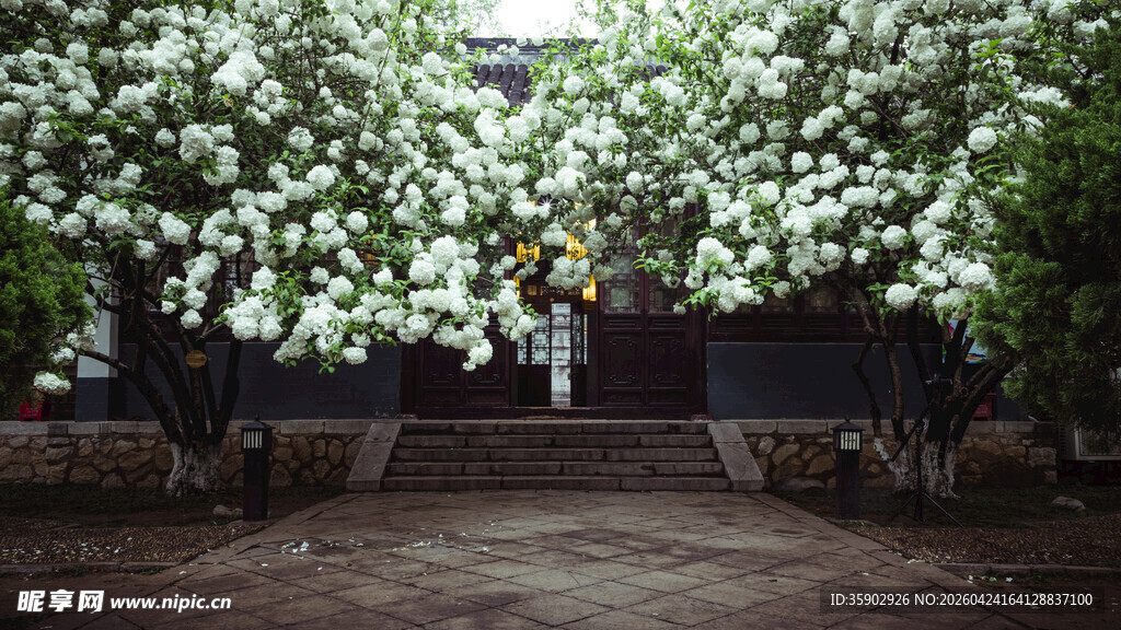 繁花簇拥的古朴庭院入口