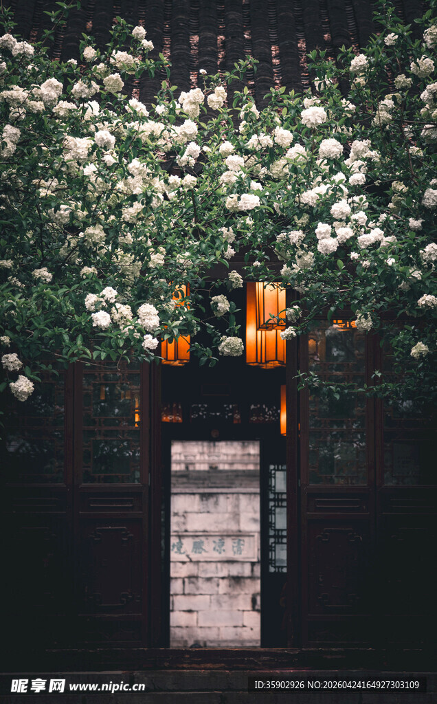 花丛中的交通信号灯