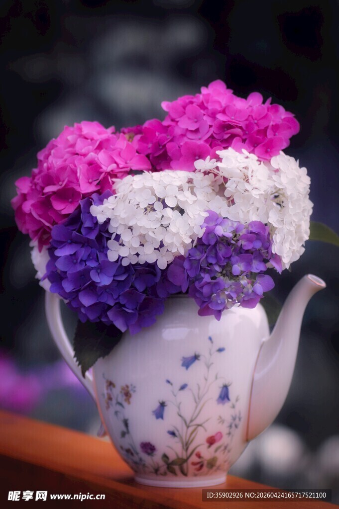 瓷壶中的多彩花卉组合