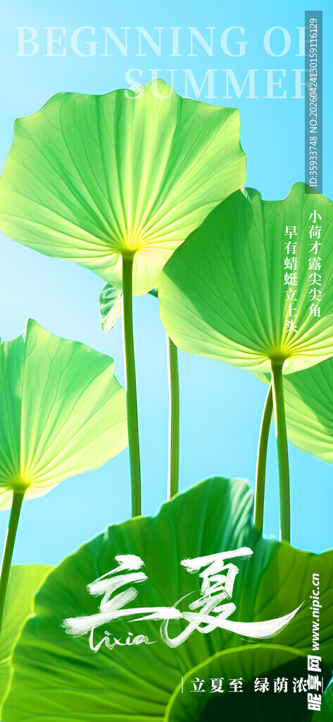 立夏海报