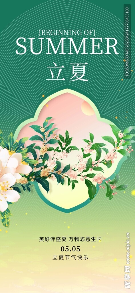 立夏时节  清新花卉插画