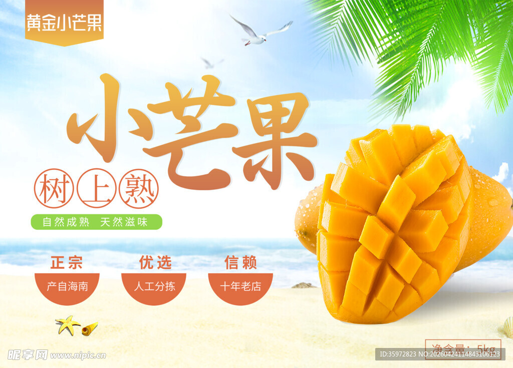  新鲜芒果
