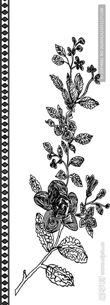 复古花卉植物线描图案