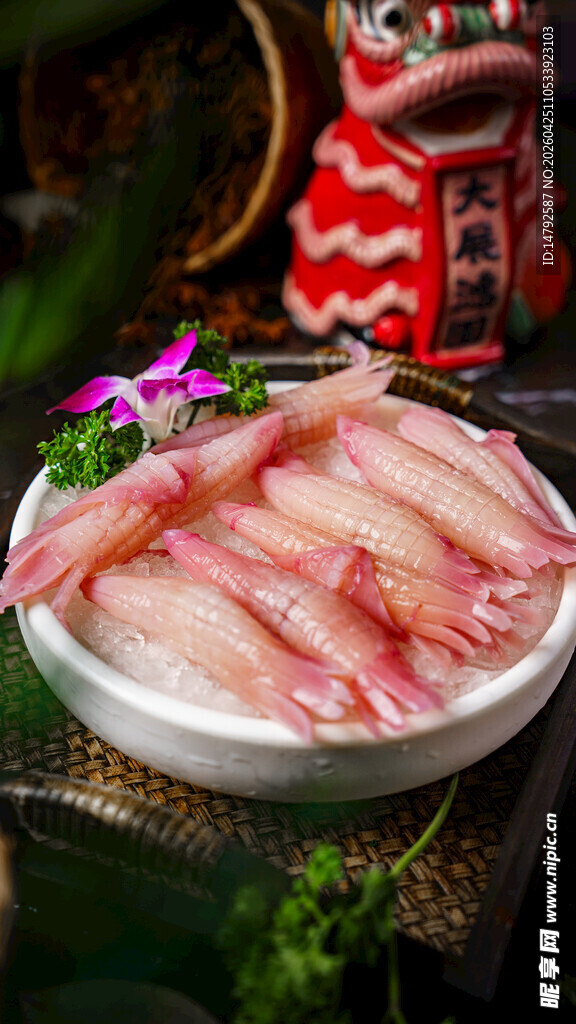 火箭鱿鱼