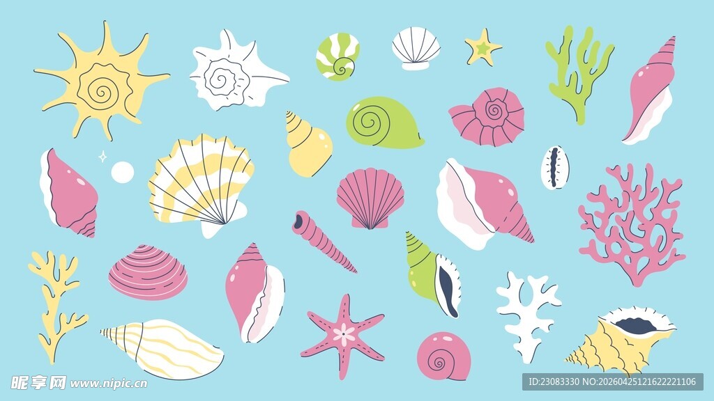 海洋贝壳素材