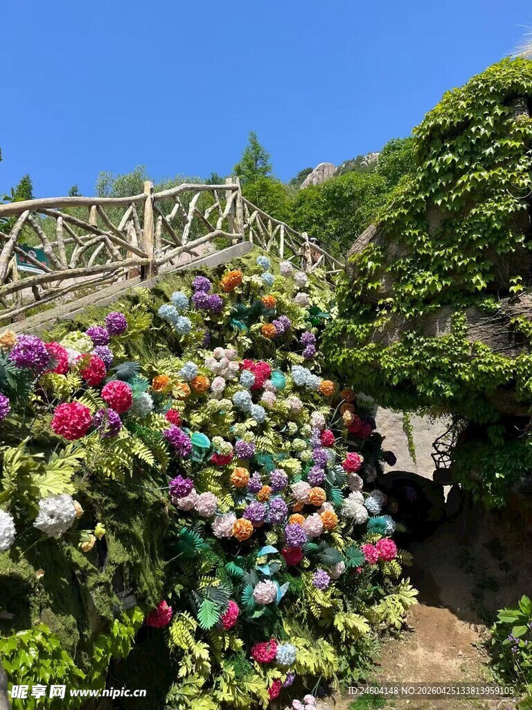 缤纷花海装点美丽花园