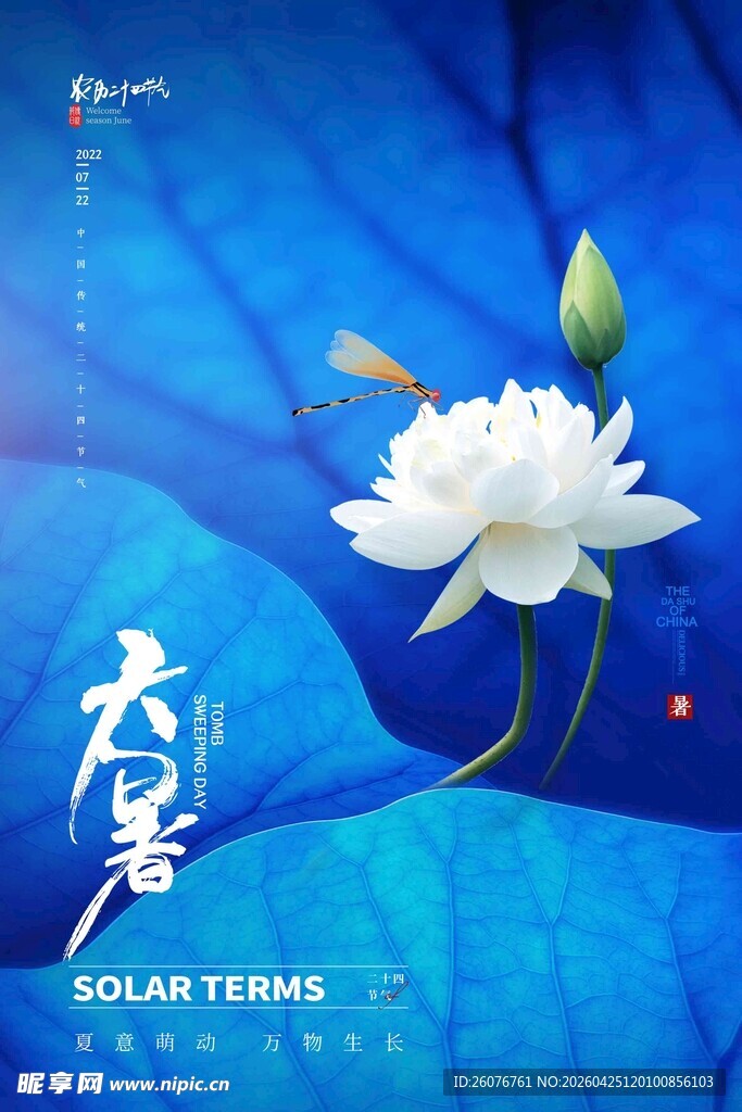 大暑海报 