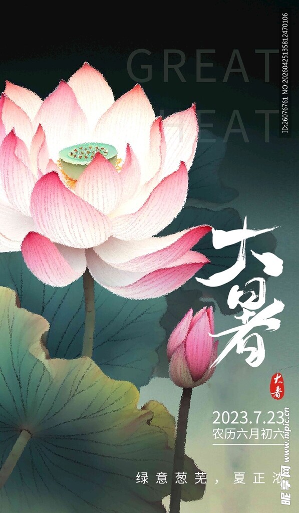 大暑海报 