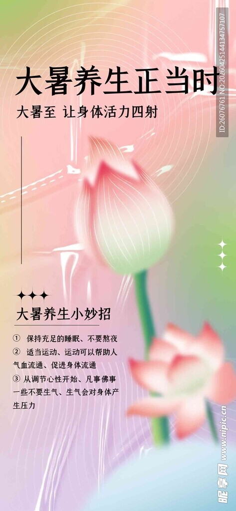 大暑海报 