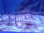 海底景象