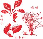传统中药材图示