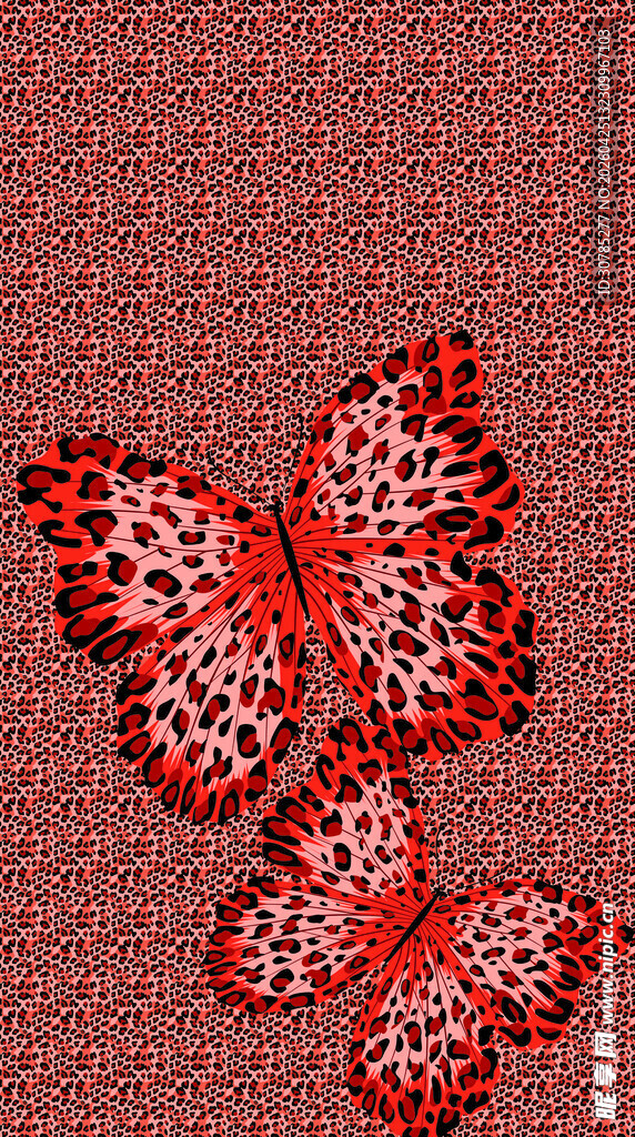 豹纹