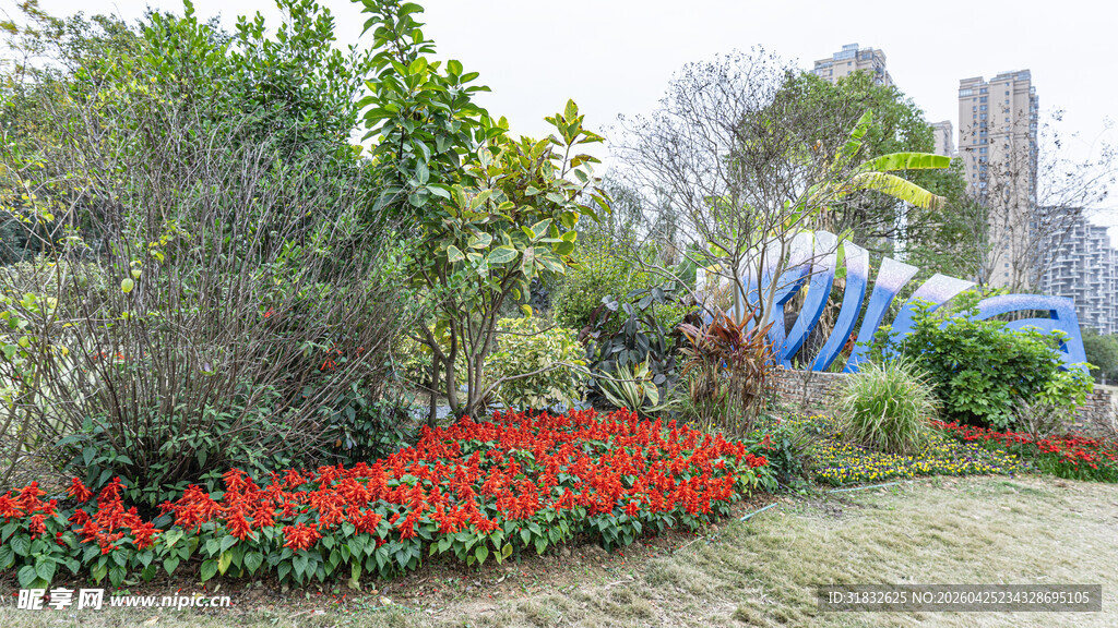 花园繁花绿植景观一角