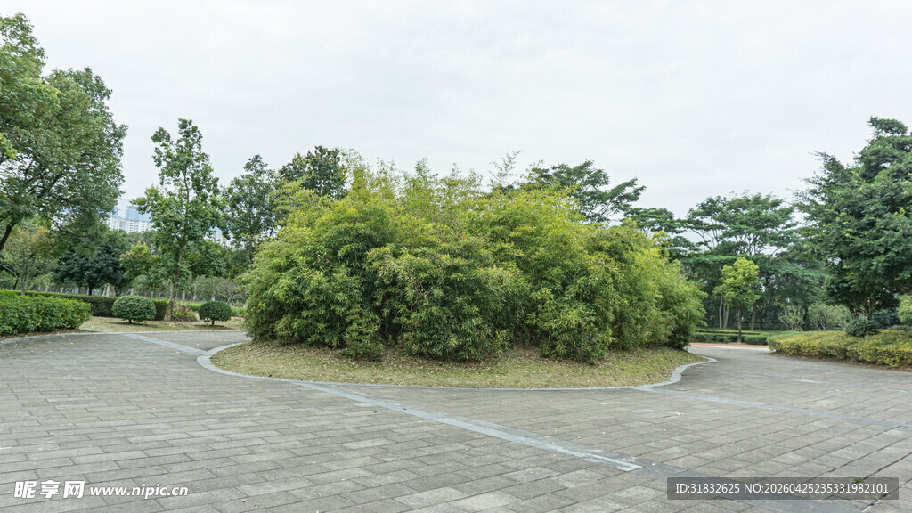 户外绿植环绕的空旷场地